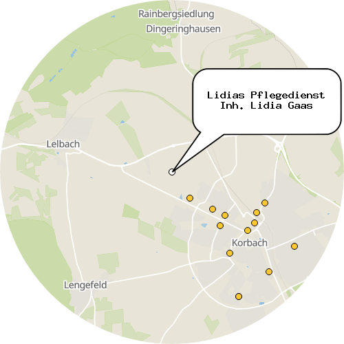 Kartenausschnitt für die Firma Lidias Pflegedienst Inh. Lidia Gaas