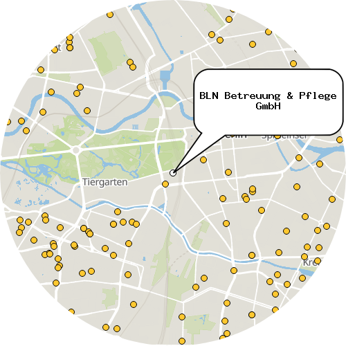 Kartenausschnitt für die Firma BLN Betreuung & Pflege GmbH