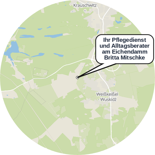 Kartenausschnitt für die Firma Ihr Pflegedienst und Alltagsberater am Eichendamm Britta Mitschke
