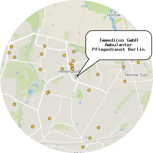 Kartenausschnitt für die Firma Immedicus GmbH Ambulanter Pflegedienst Berlin