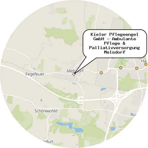 Kartenausschnitt für die Firma Kieler Pflegeengel GmbH - Ambulante Pflege & Palliativversorgung Melsdorf