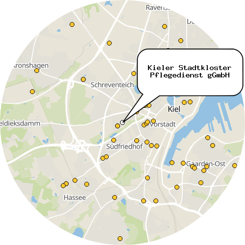 Kartenausschnitt für die Firma Kieler Stadtkloster Pflegedienst gGmbH