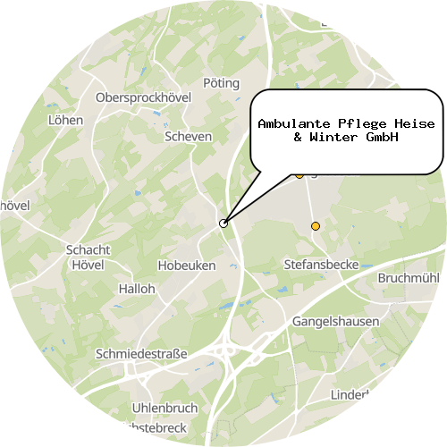 Kartenausschnitt für die Firma Ambulante Pflege Heise & Winter GmbH