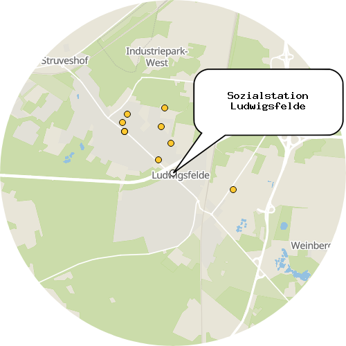Kartenausschnitt für die Firma Sozialstation Ludwigsfelde
