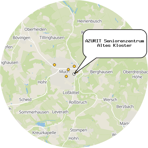 Kartenausschnitt für die Firma AZURIT Seniorenzentrum Altes Kloster