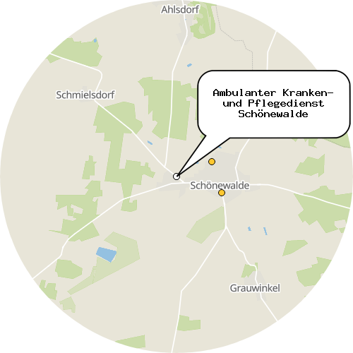 Kartenausschnitt für die Firma Ambulanter Kranken- und Pflegedienst Schönewalde
