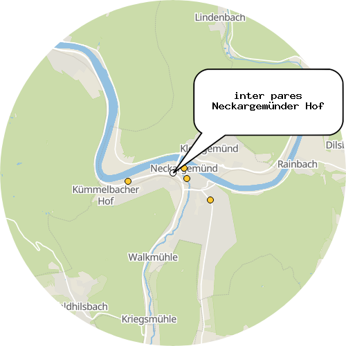 Kartenausschnitt für die Firma inter pares Neckargemünder Hof