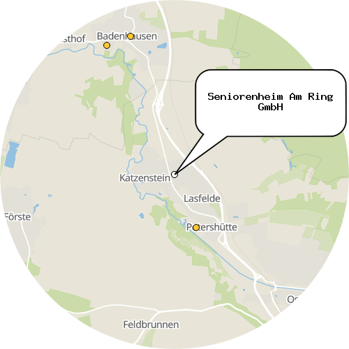 Kartenausschnitt für die Firma Seniorenheim Am Ring GmbH