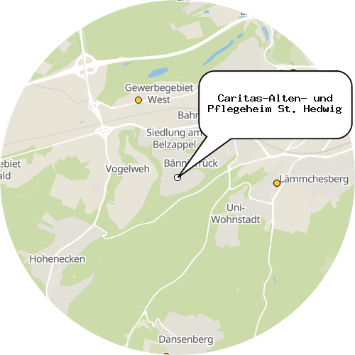 Kartenausschnitt für die Firma Caritas-Alten- und Pflegeheim St. Hedwig