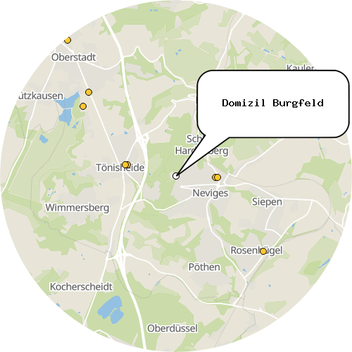 Kartenausschnitt für die Firma Domizil Burgfeld