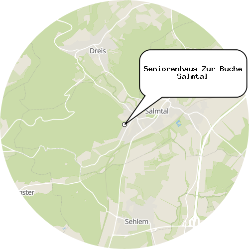 Kartenausschnitt für die Firma Seniorenhaus Zur Buche Salmtal