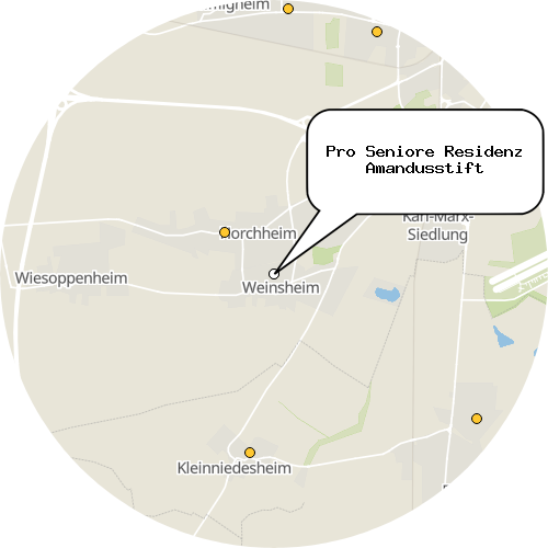 Kartenausschnitt für die Firma Pro Seniore Residenz Amandusstift