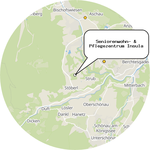Kartenausschnitt für die Firma Seniorenwohn- & Pflegezentrum Insula
