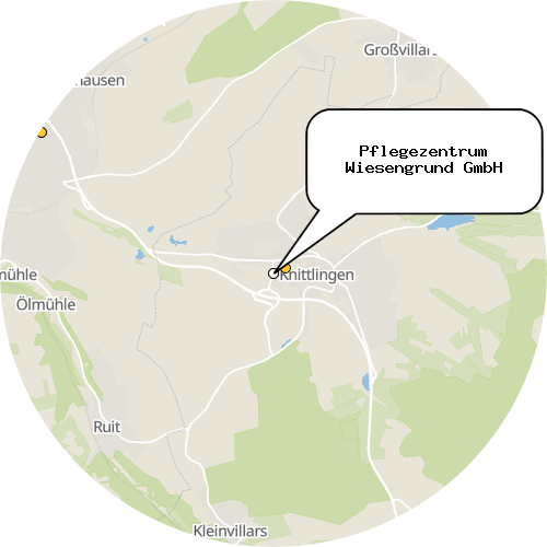 Kartenausschnitt für die Firma Pflegezentrum Wiesengrund GmbH