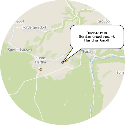 Kartenausschnitt für die Firma Aventinum Seniorenwohnpark Hartha GmbH