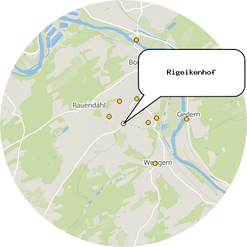 Kartenausschnitt für die Firma Rigeikenhof