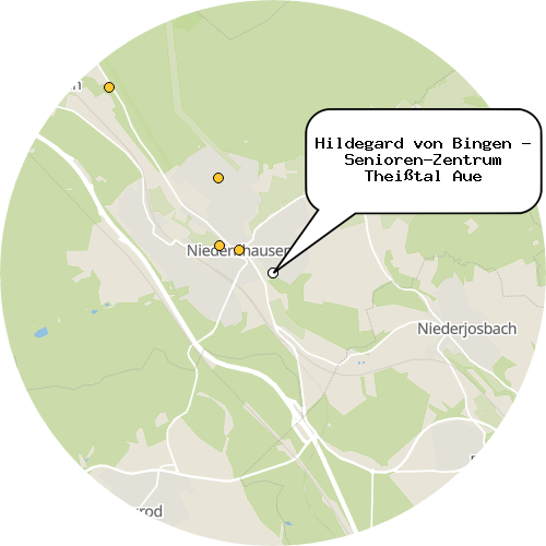 Kartenausschnitt für die Firma Hildegard von Bingen - Senioren-Zentrum Theißtal Aue