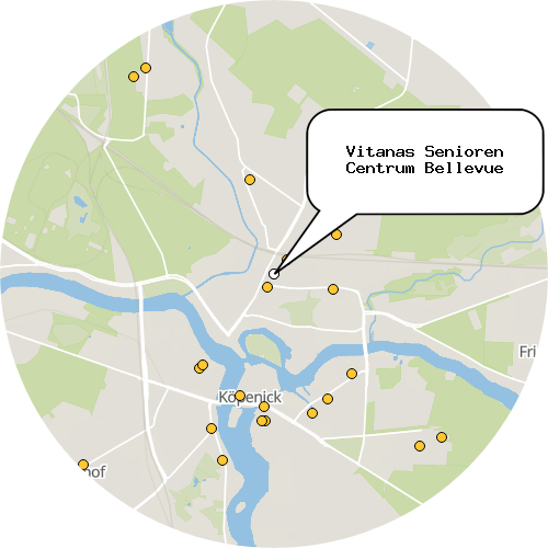 Kartenausschnitt für die Firma Vitanas Senioren Centrum Bellevue