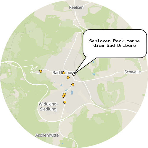 Kartenausschnitt für die Firma Senioren-Park carpe diem Bad Driburg