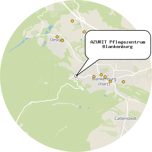 Kartenausschnitt für die Firma AZURIT Pflegezentrum Blankenburg
