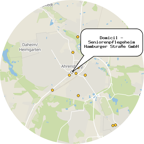 Kartenausschnitt für die Firma Domicil - Seniorenpflegeheim Hamburger Straße GmbH