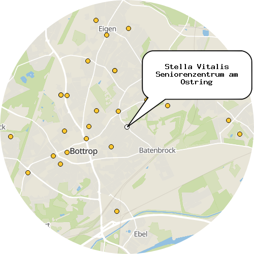 Kartenausschnitt für die Firma Stella Vitalis Seniorenzentrum am Ostring