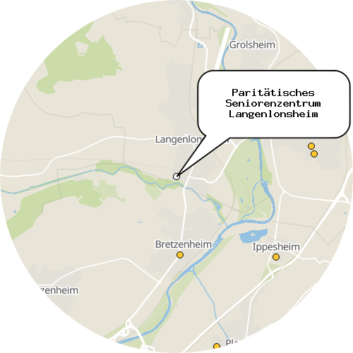 Kartenausschnitt für die Firma Paritätisches Seniorenzentrum Langenlonsheim