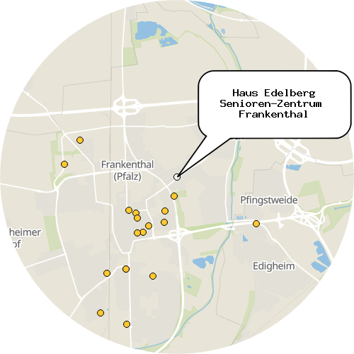 Kartenausschnitt für die Firma Haus Edelberg Senioren-Zentrum  Frankenthal