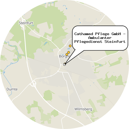 Kartenausschnitt für die Firma Cathamed Pflege GmbH - Ambulanter Pflegedienst Steinfurt