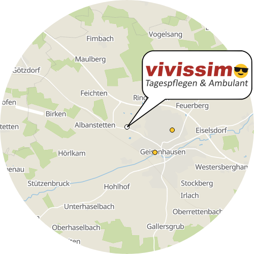Kartenausschnitt für die Firma vivissimo Tagespflege Geisenhausen