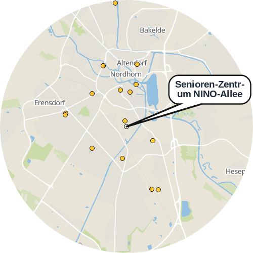 Kartenausschnitt für die Firma Senioren-Zentrum NINO-Allee