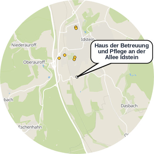 Kartenausschnitt für die Firma Haus der Betreuung und Pflege an der Allee Idstein