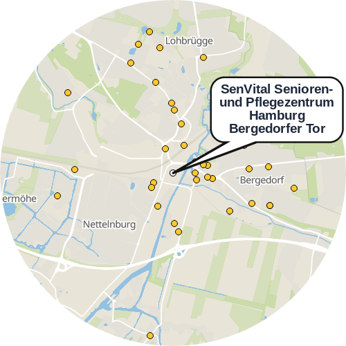 Kartenausschnitt für die Firma SenVital Senioren- und Pflegezentrum Hamburg Bergedorfer Tor