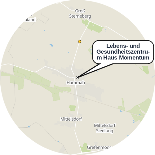 Kartenausschnitt für die Firma Lebens- und Gesundheitszentrum Haus Momentum