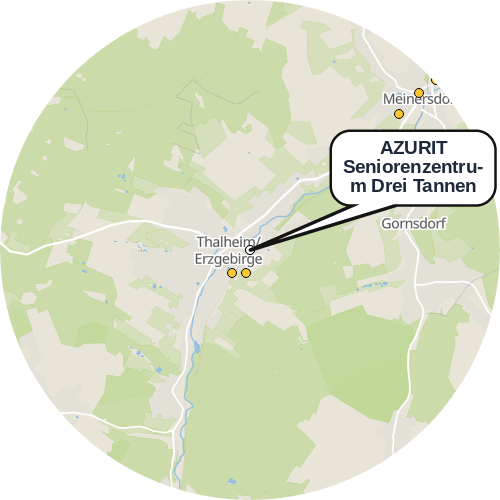 Kartenausschnitt für die Firma AZURIT Seniorenzentrum Drei Tannen