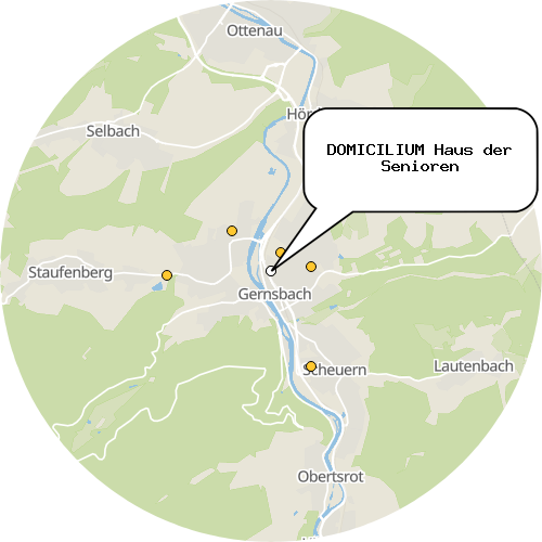 Kartenausschnitt für die Firma DOMICILIUM Haus der Senioren