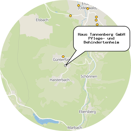 Kartenausschnitt für die Firma Haus Tannenberg GmbH Pflege- und Behindertenheim