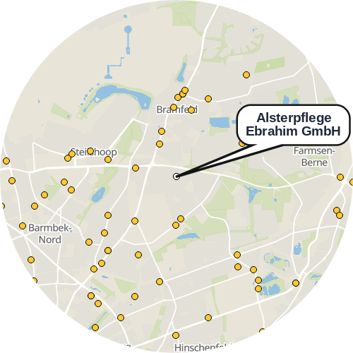 Kartenausschnitt für die Firma Alsterpflege Ebrahim GmbH