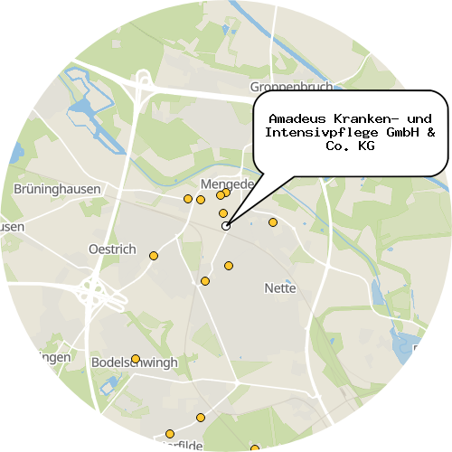 Kartenausschnitt für die Firma Amadeus Kranken- und Intensivpflege GmbH & Co. KG