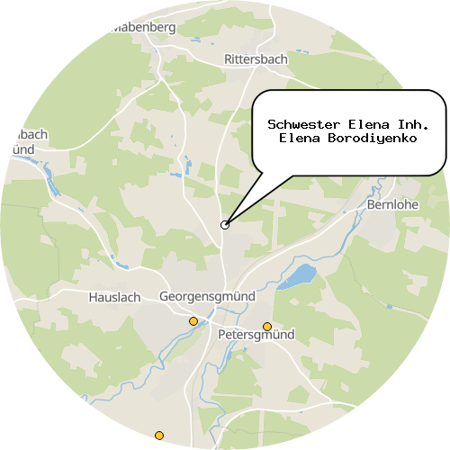 Kartenausschnitt für die Firma Schwester Elena Inh. Elena Borodiyenko