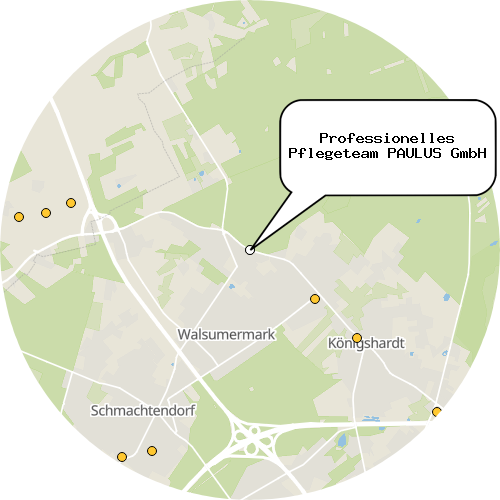 Kartenausschnitt für die Firma Professionelles Pflegeteam PAULUS GmbH