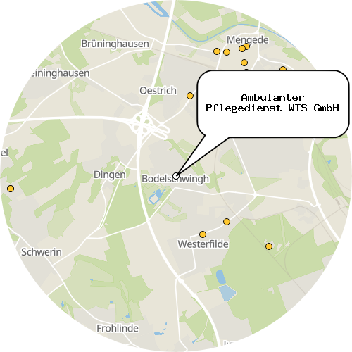 Kartenausschnitt für die Firma Ambulanter Pflegedienst WTS GmbH