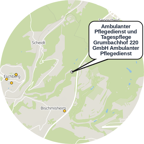 Kartenausschnitt für die Firma Ambulanter Pflegedienst und Tagespflege Grumbachhof 220 GmbH Ambulanter Pflegedienst