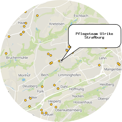Kartenausschnitt für die Firma Pflegeteam Ulrike Straßburg