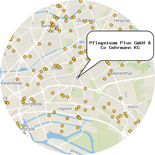 Kartenausschnitt für die Firma Pflegeteam Plus GmbH & Co Gehrmann KG