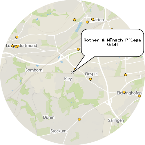 Kartenausschnitt für die Firma Rother & Wünsch Pflege GmbH