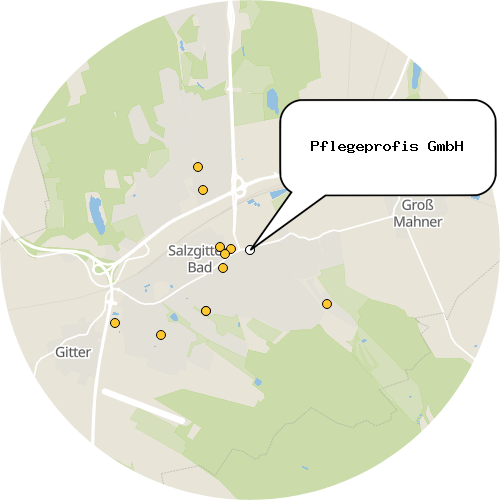Kartenausschnitt für die Firma Pflegeprofis GmbH