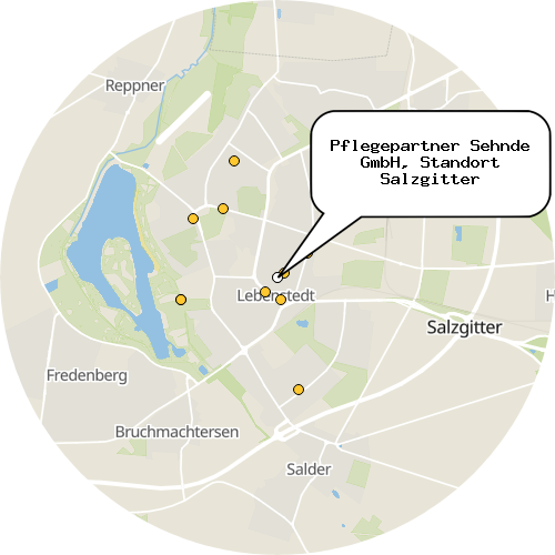 Kartenausschnitt für die Firma Pflegepartner Sehnde GmbH, Standort Salzgitter
