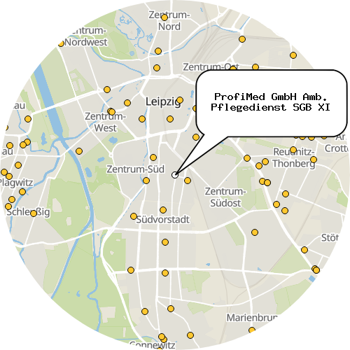 Kartenausschnitt für die Firma ProfiMed GmbH Amb. Pflegedienst SGB XI