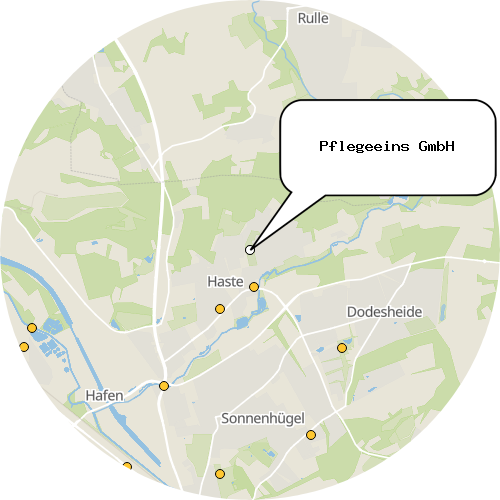 Kartenausschnitt für die Firma Pflegeeins GmbH